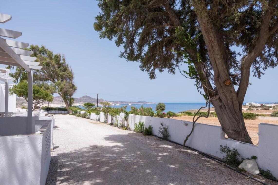 Kanelis Studios & Suites Mytakas Dış mekan fotoğraf
