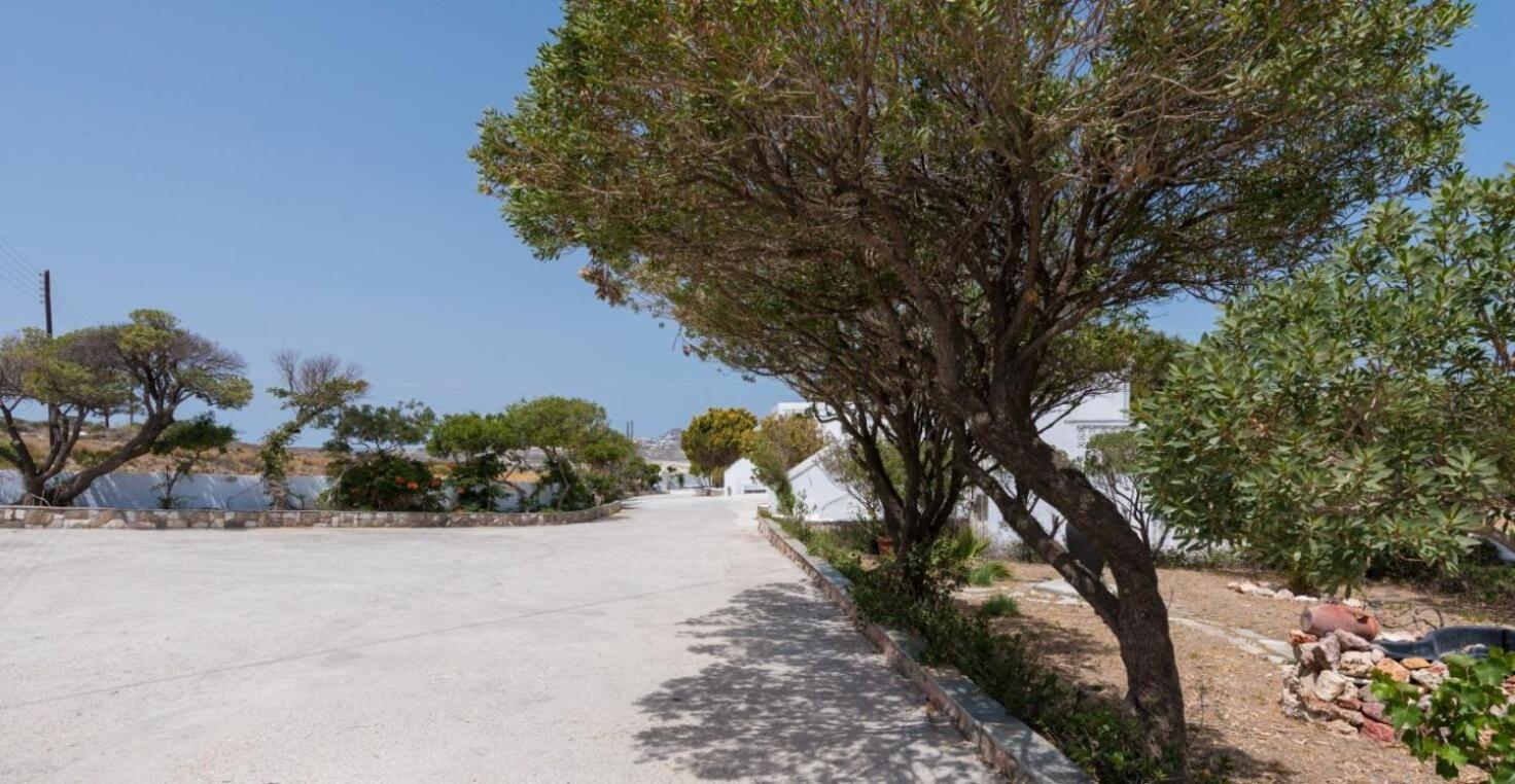 Kanelis Studios & Suites Mytakas Dış mekan fotoğraf