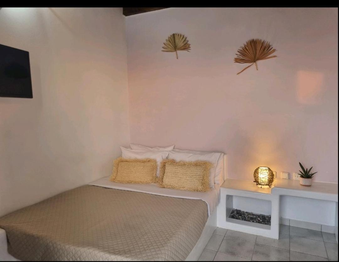 Kanelis Studios & Suites Mytakas Dış mekan fotoğraf