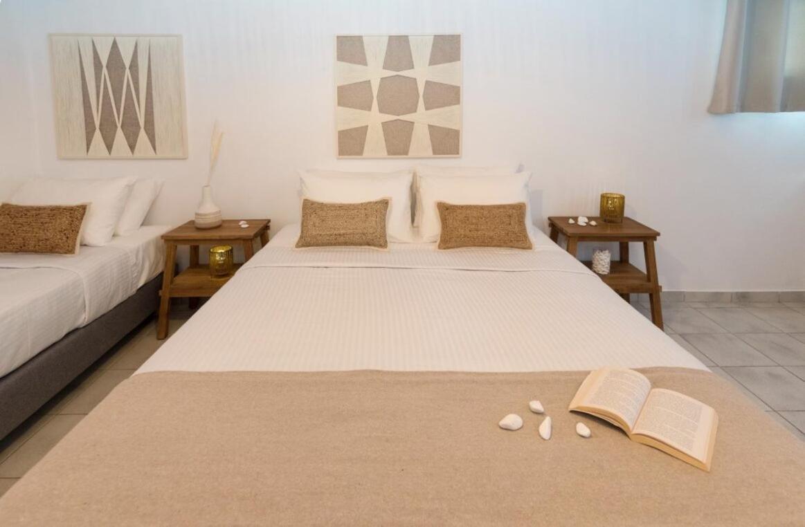 Kanelis Studios & Suites Mytakas Dış mekan fotoğraf